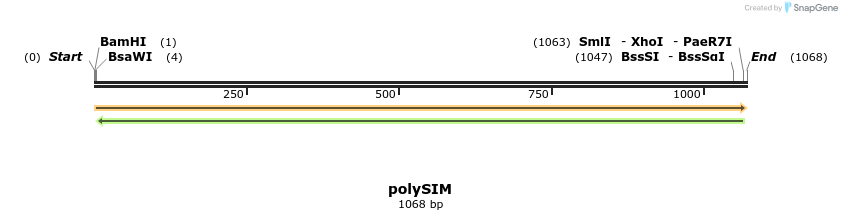 433088_map