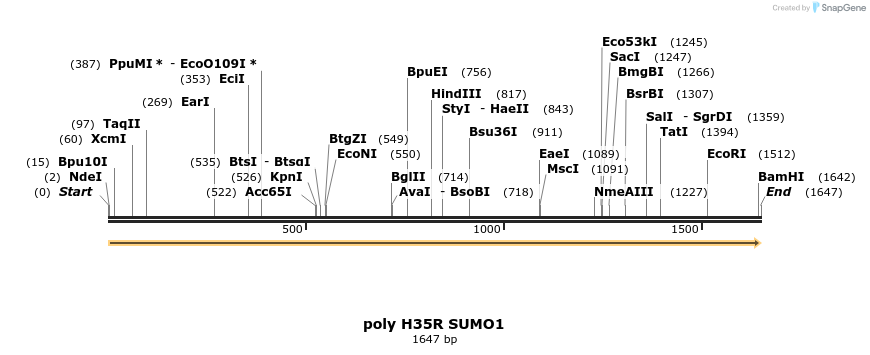 433089_map