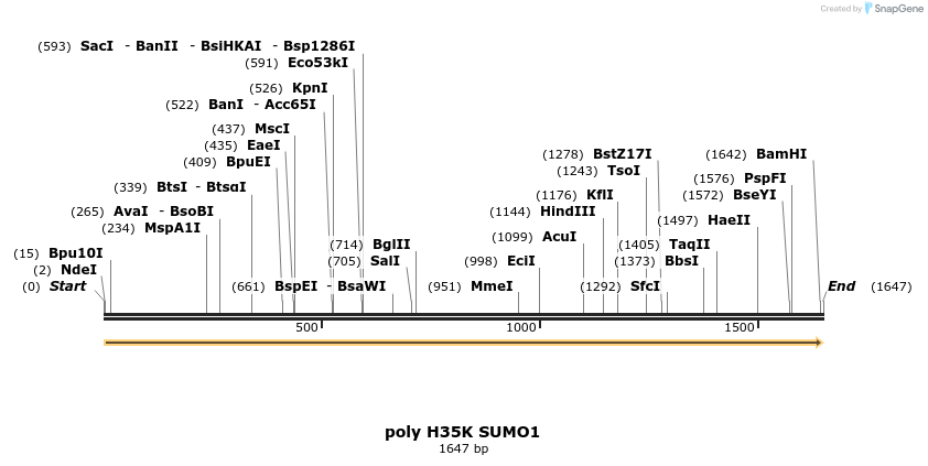 433090_map
