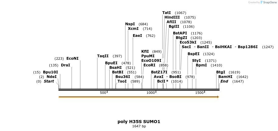 433091_map