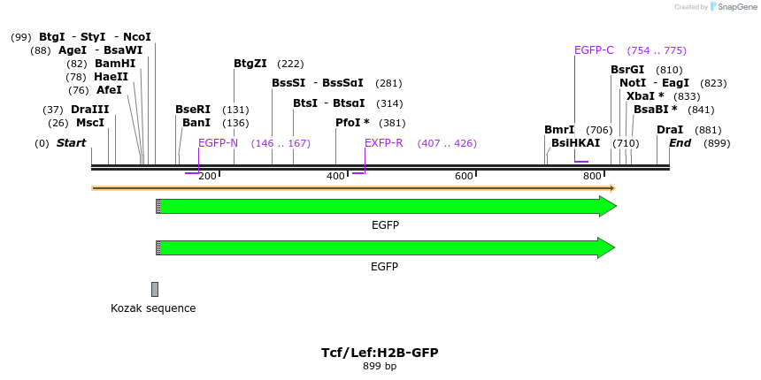 43311_map