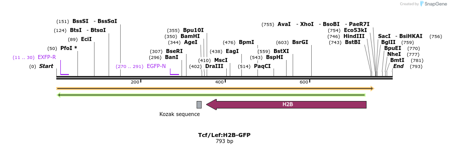 43312_map