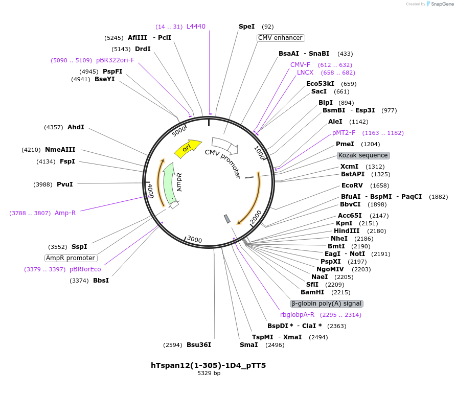 433267_map