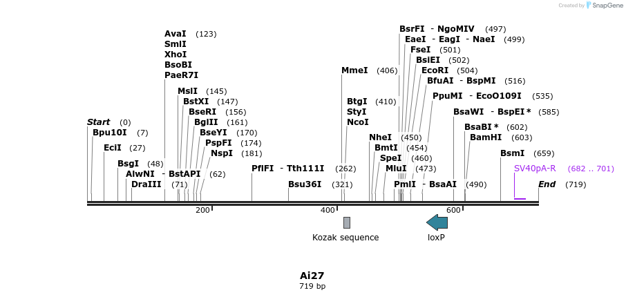 43339_map