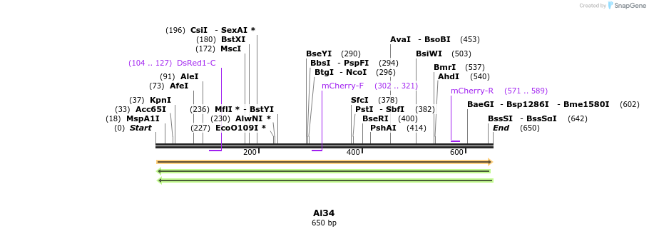 43340_map