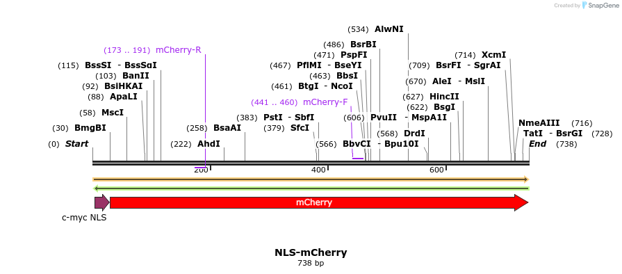 433442_map