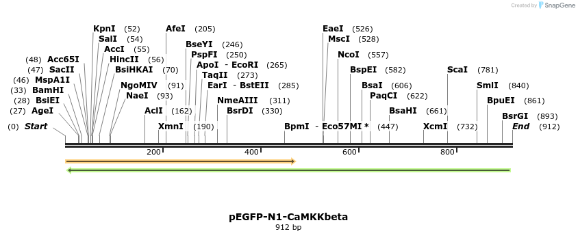 43346_map