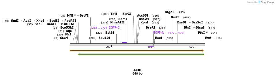 43351_map