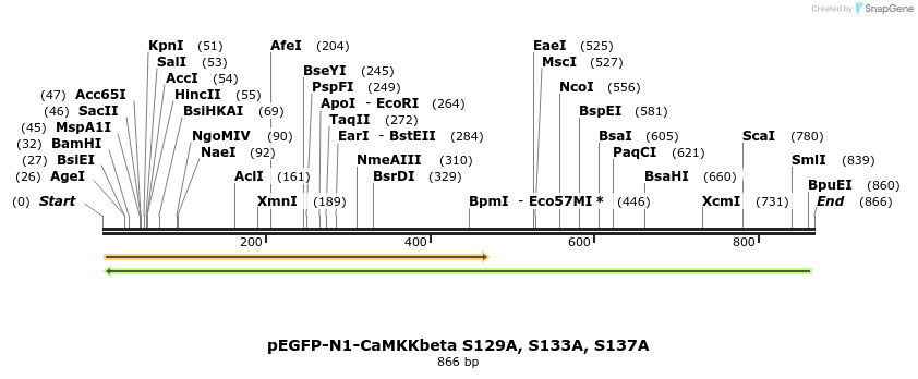 43352_map