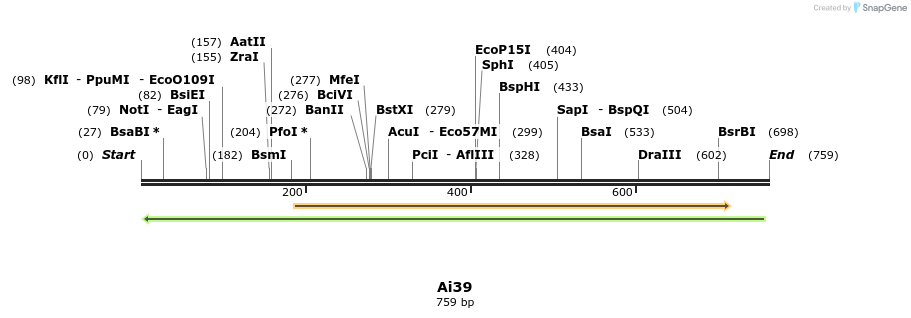 43355_map