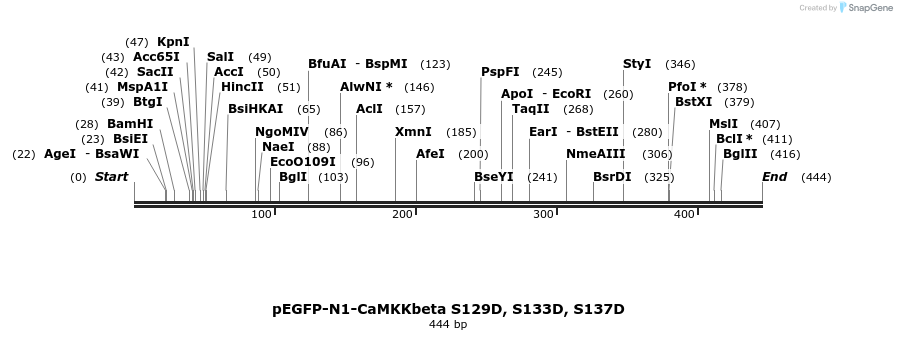 43356_map