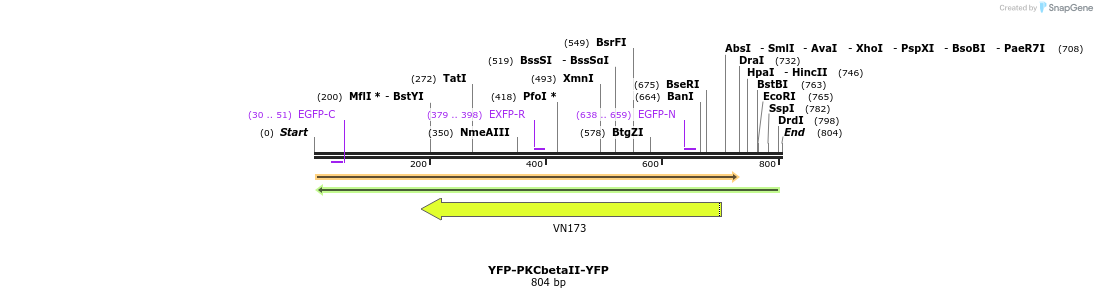 43365_map