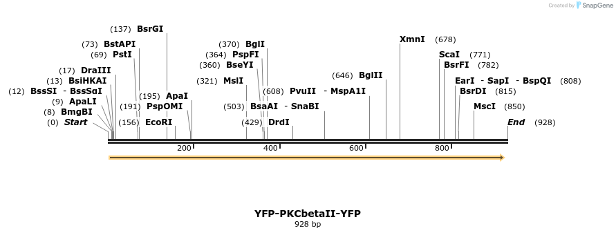 43366_map