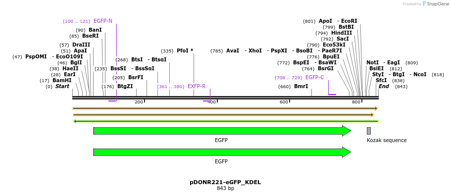 433693_map