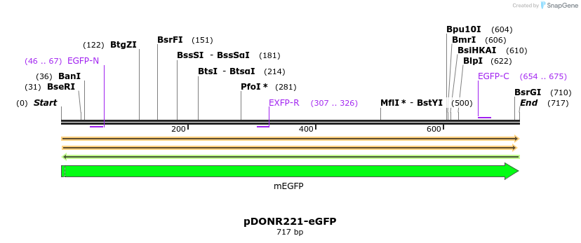 433697_map