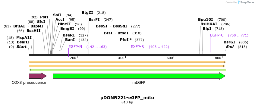 433699_map