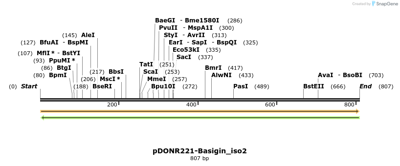 433703_map