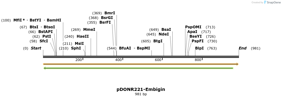 433705_map