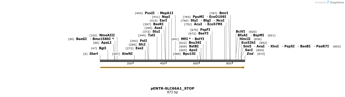 433707_map