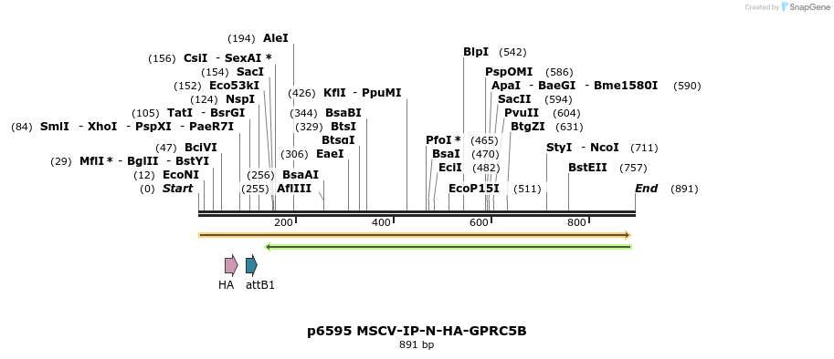 43371_map