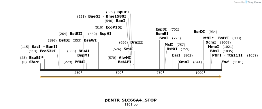 433713_map
