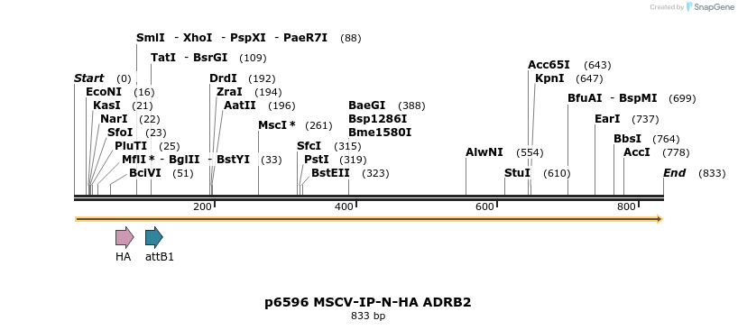 43372_map