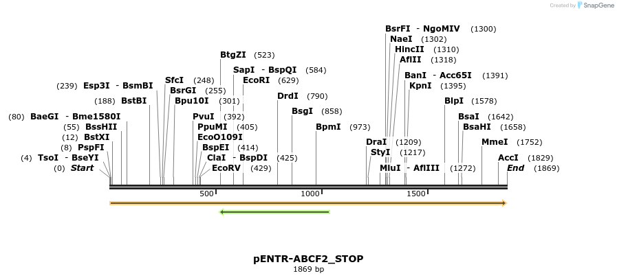 433721_map
