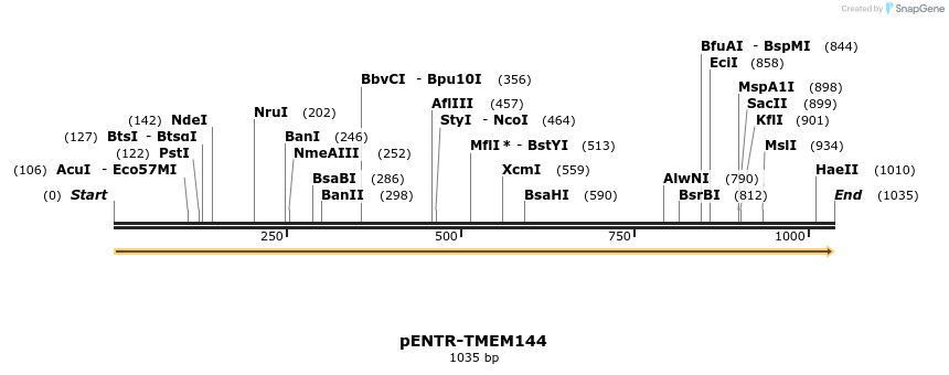 433723_map