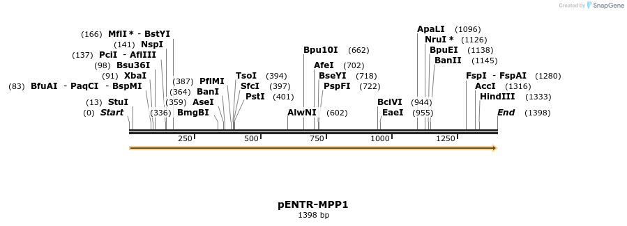 433727_map