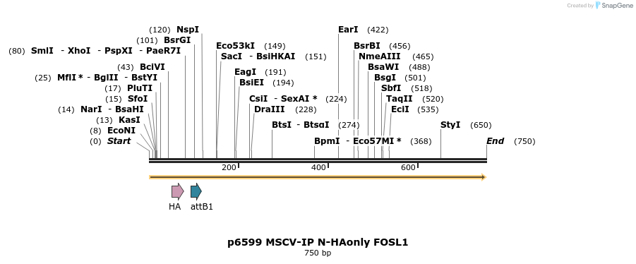 43374_map