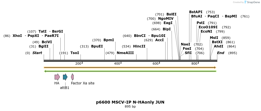 43375_map