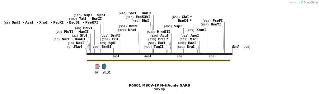 43376_map