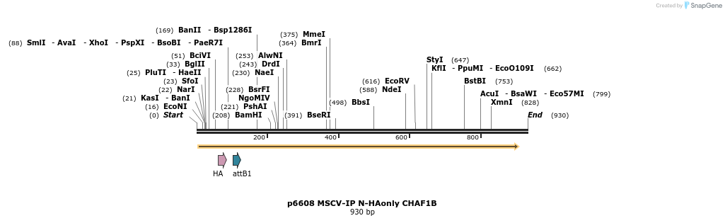 43378_map