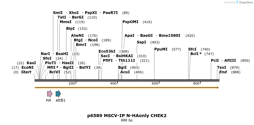 43379_map