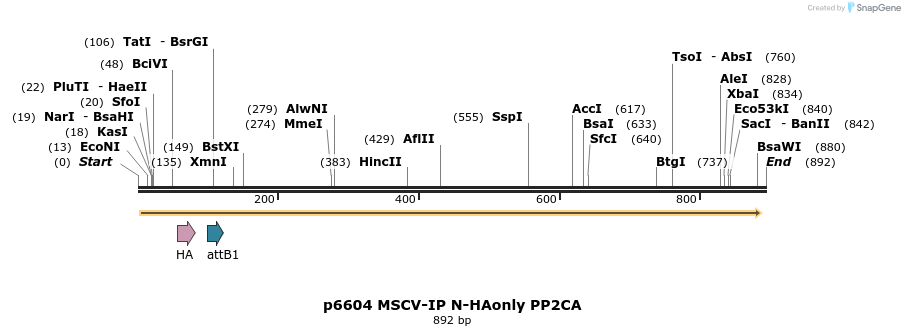 43385_map