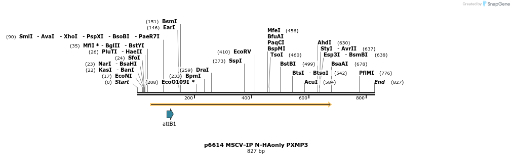 43393_map