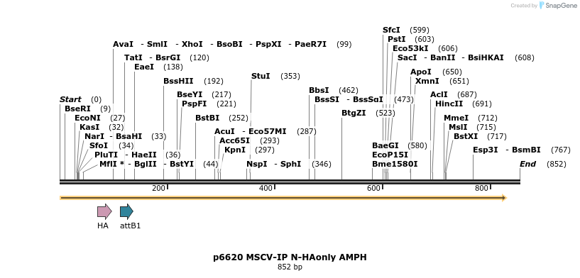 43397_map