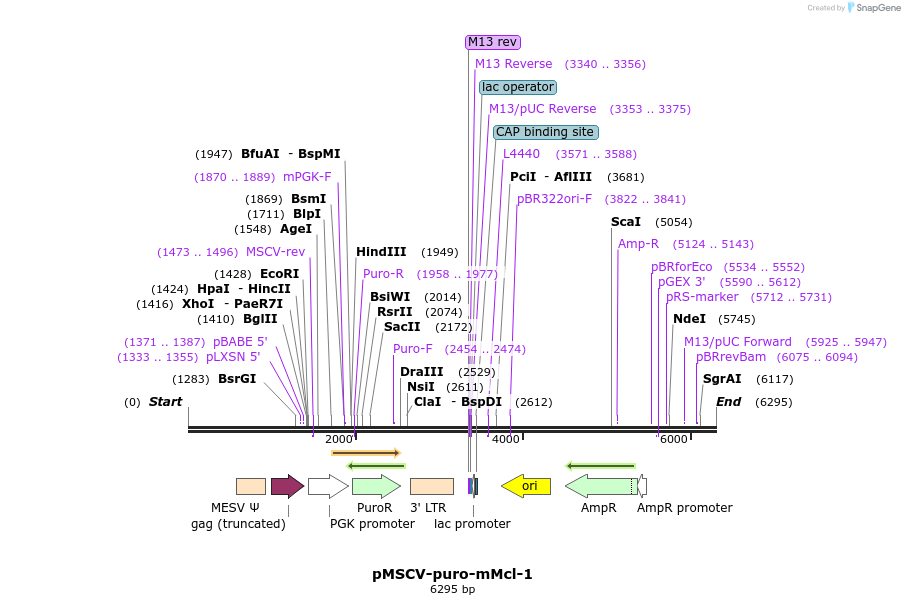 43403_map