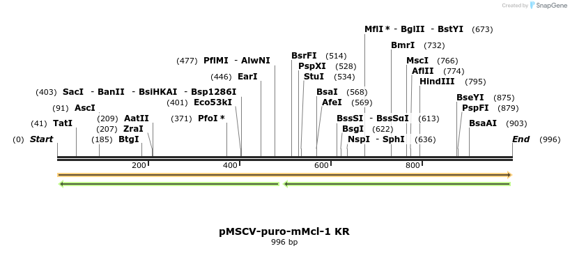 43406_map