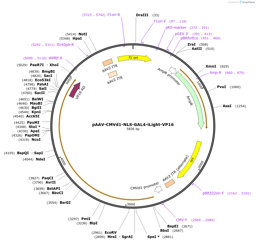 434077_map