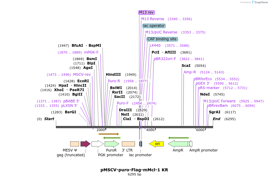 43408_map