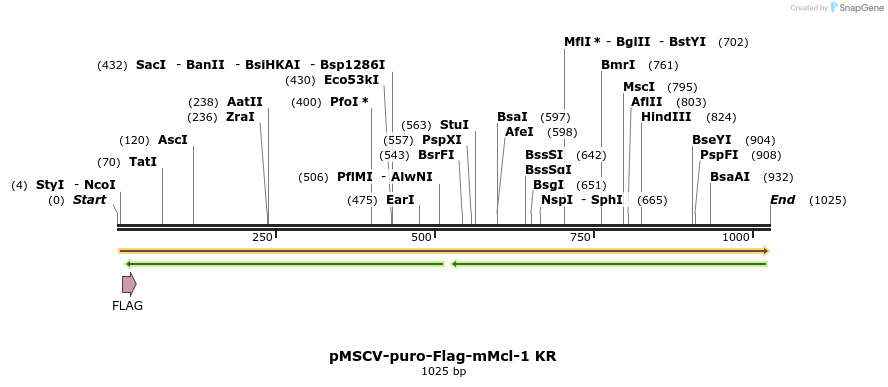 43409_map