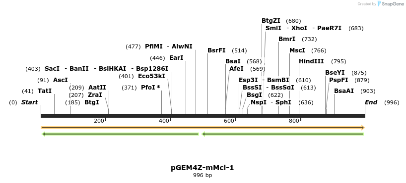 43410_map
