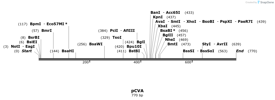 43431_map