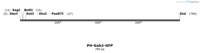 43439_map