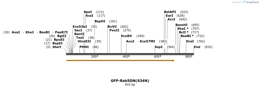 43446_map
