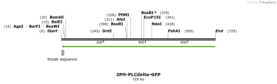 43447_map