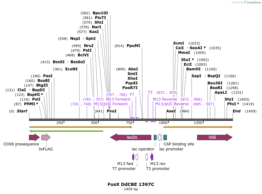 434569_map