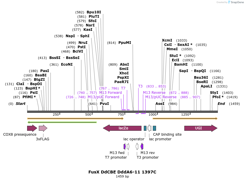 434573_map