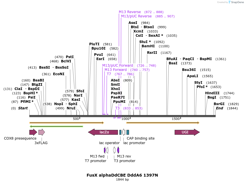 434585_map
